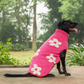 HUFT Blossom Knit Sweater For Dog - Pink - Heads Up For Tails