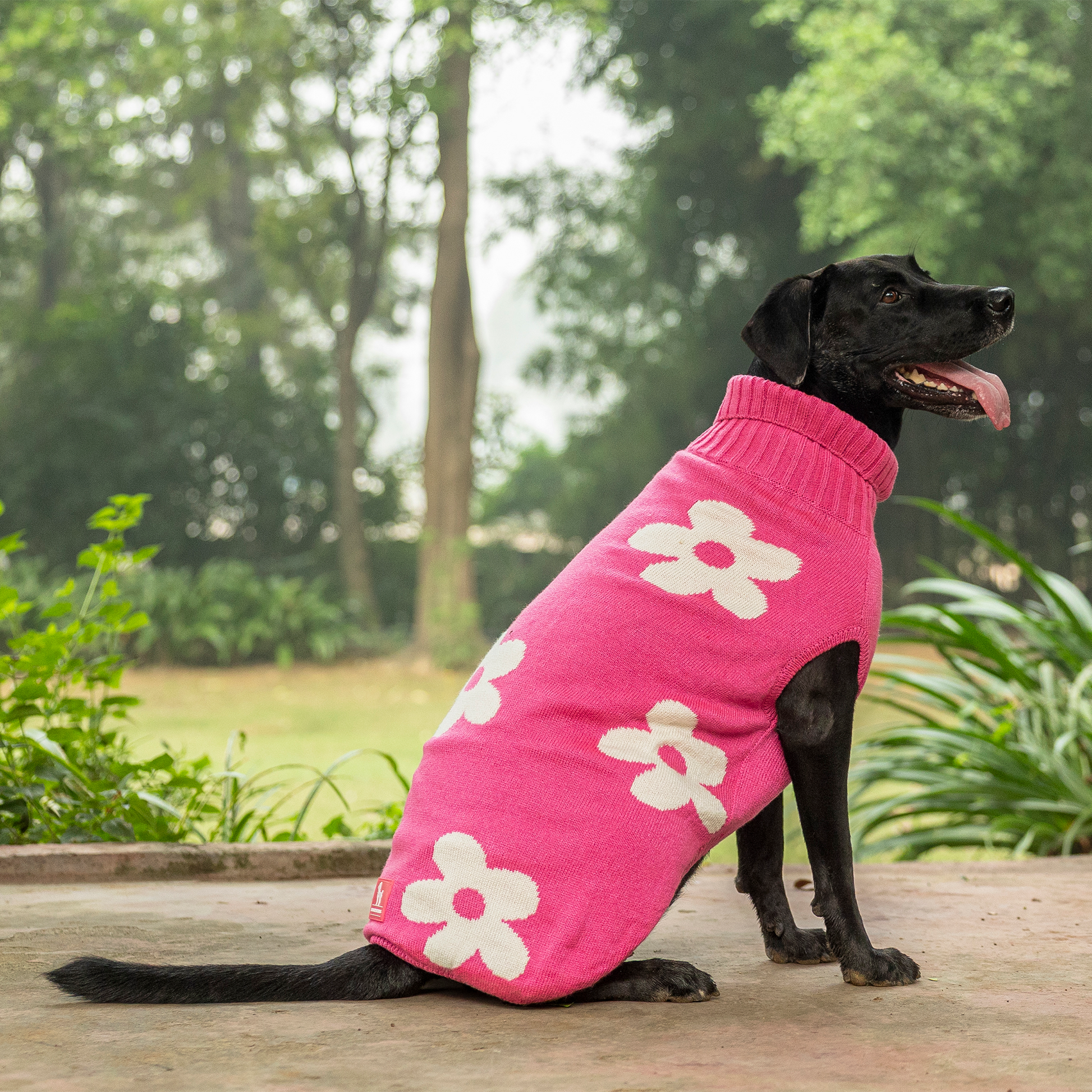HUFT Blossom Knit Sweater For Dog - Pink - Heads Up For Tails