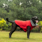 HUFT Charming Cherry Jacket For Big Dog - Red - Heads Up For Tails