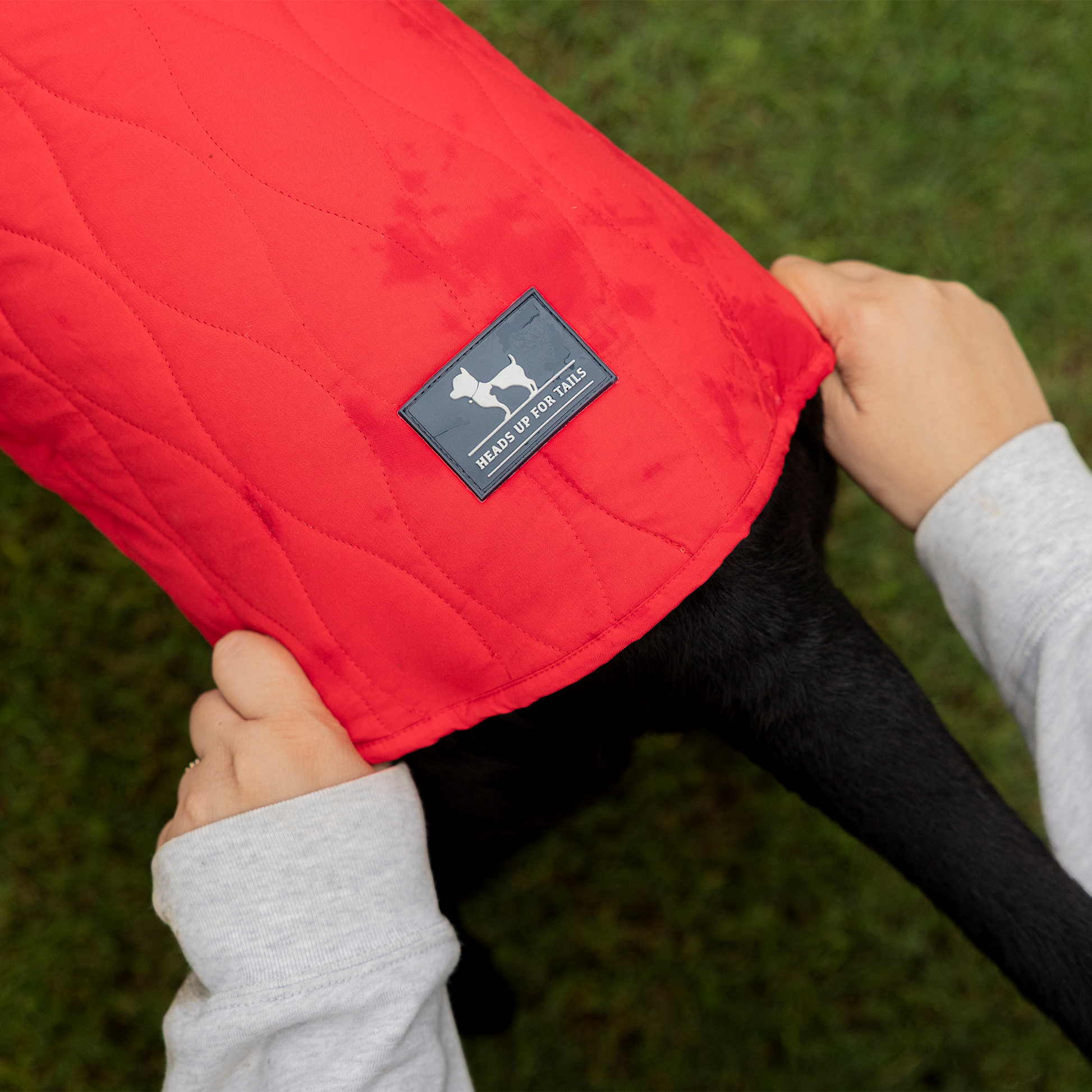 HUFT Charming Cherry Jacket For Big Dog - Red - Heads Up For Tails