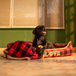 HUFT Love Plaid Lounger Bed For Dog - Red & Black