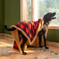 HUFT Love Plaid Blanket With Bone Cushion For Dog - Red - Heads Up For Tails