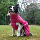 HUFT Starburst Snuggle Jacket For Dog - Pink - Heads Up For Tails