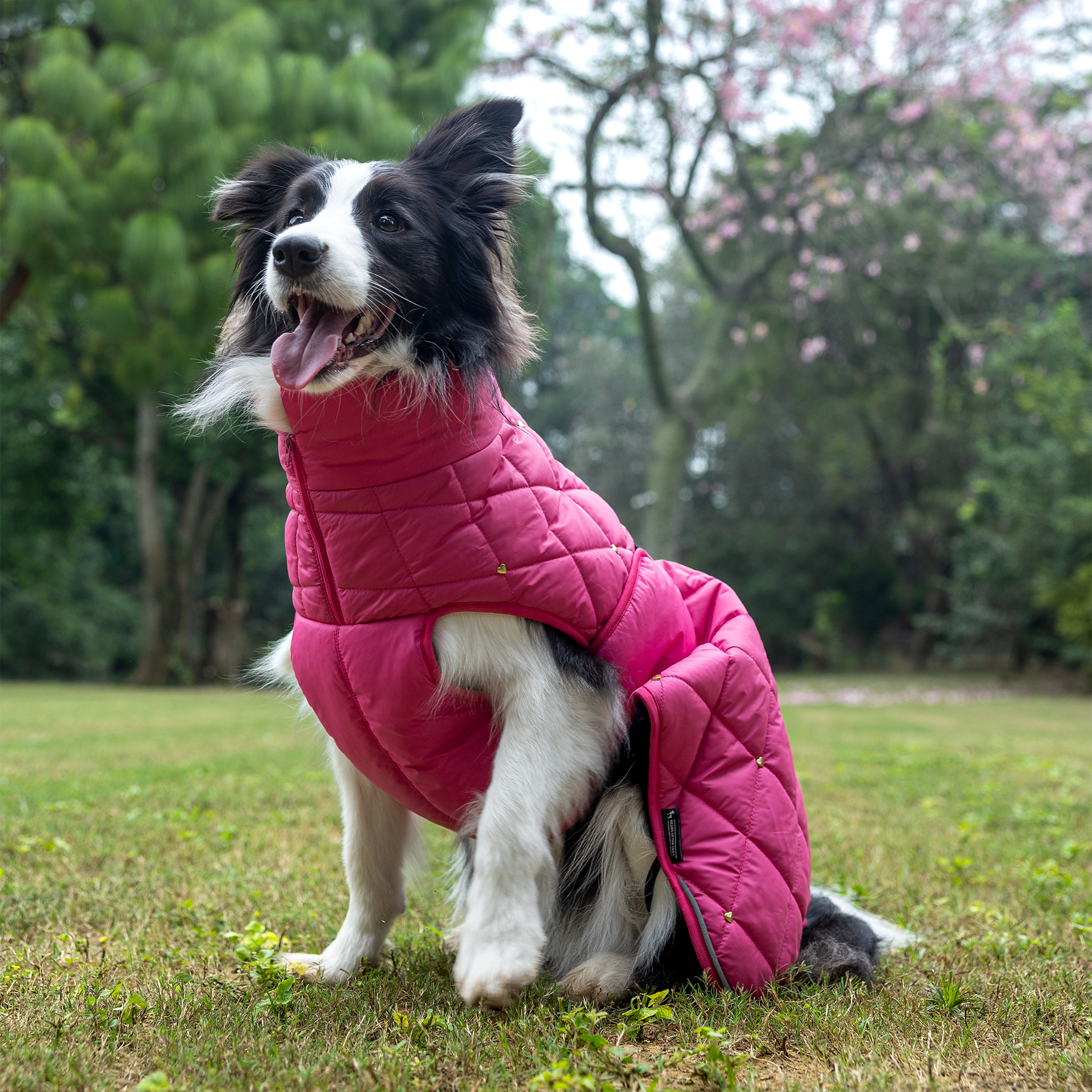 HUFT Starburst Snuggle Jacket For Dog - Pink - Heads Up For Tails