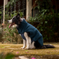 HUFT Cloudy Comfort Jacket For Big Dog - Peacock Blue - Heads Up For Tails