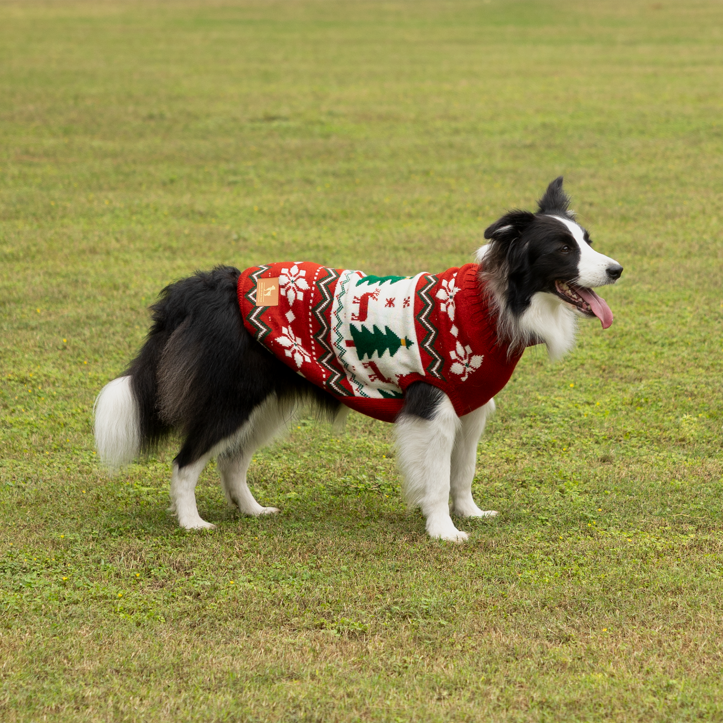 HUFT Jolly Jumper Sweater For Dog - Red - Heads Up For Tails