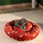 HUFT Bloom Buddies Donut Bed For Dog - Rust - Heads Up For Tails