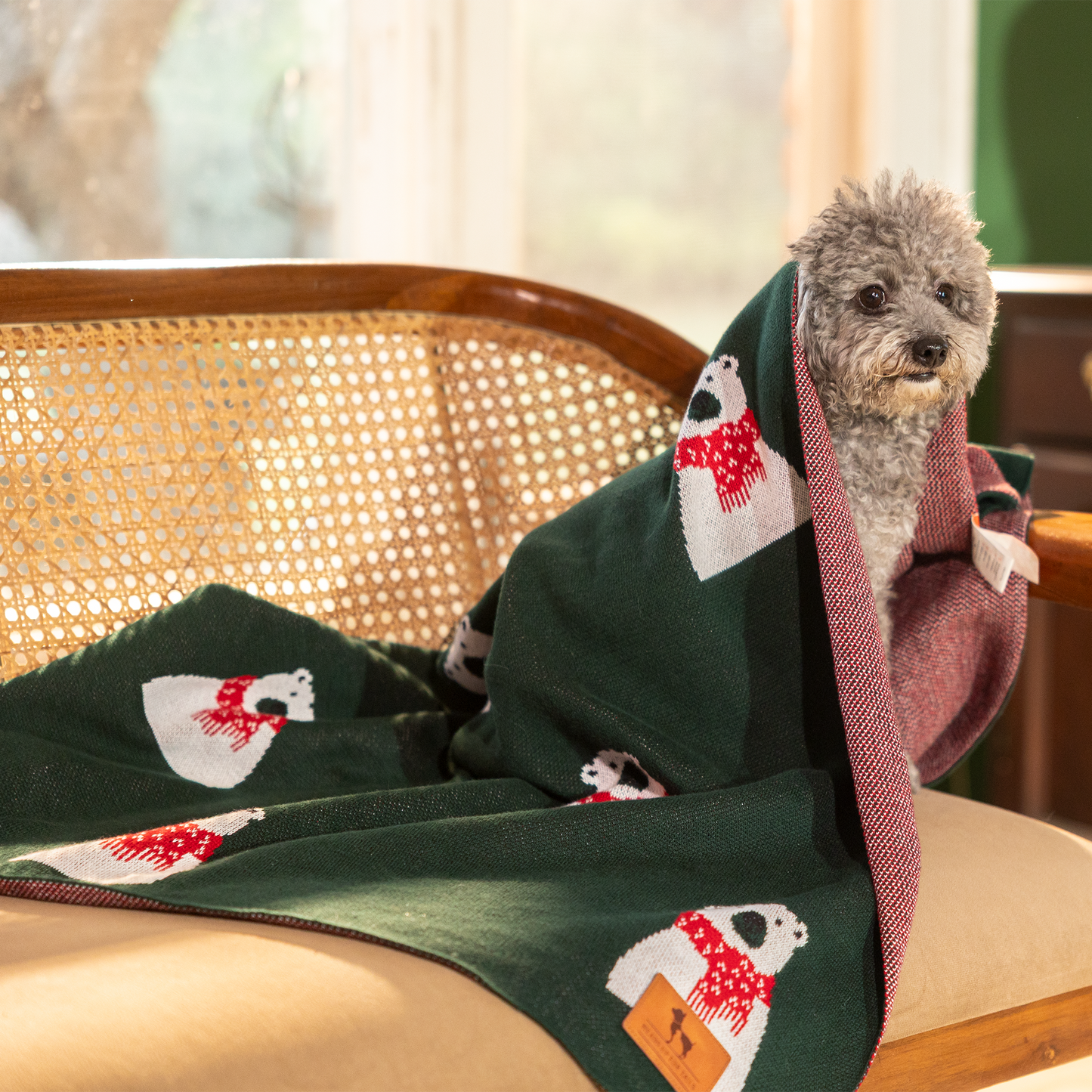 HUFT Pawlar Bear Blanket For Dog & Cat - Green