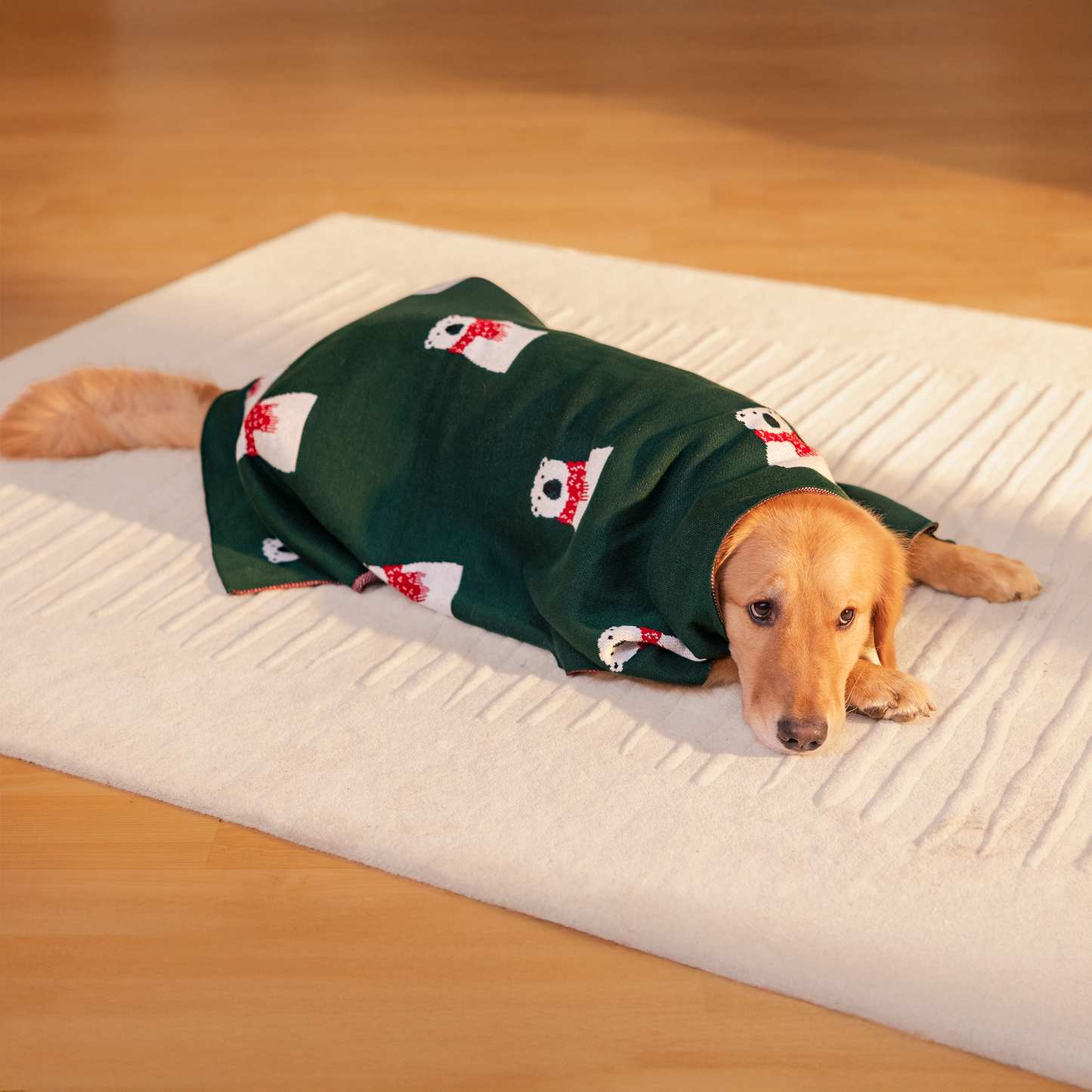 HUFT Pawlar Bear Blanket For Dog & Cat - Green