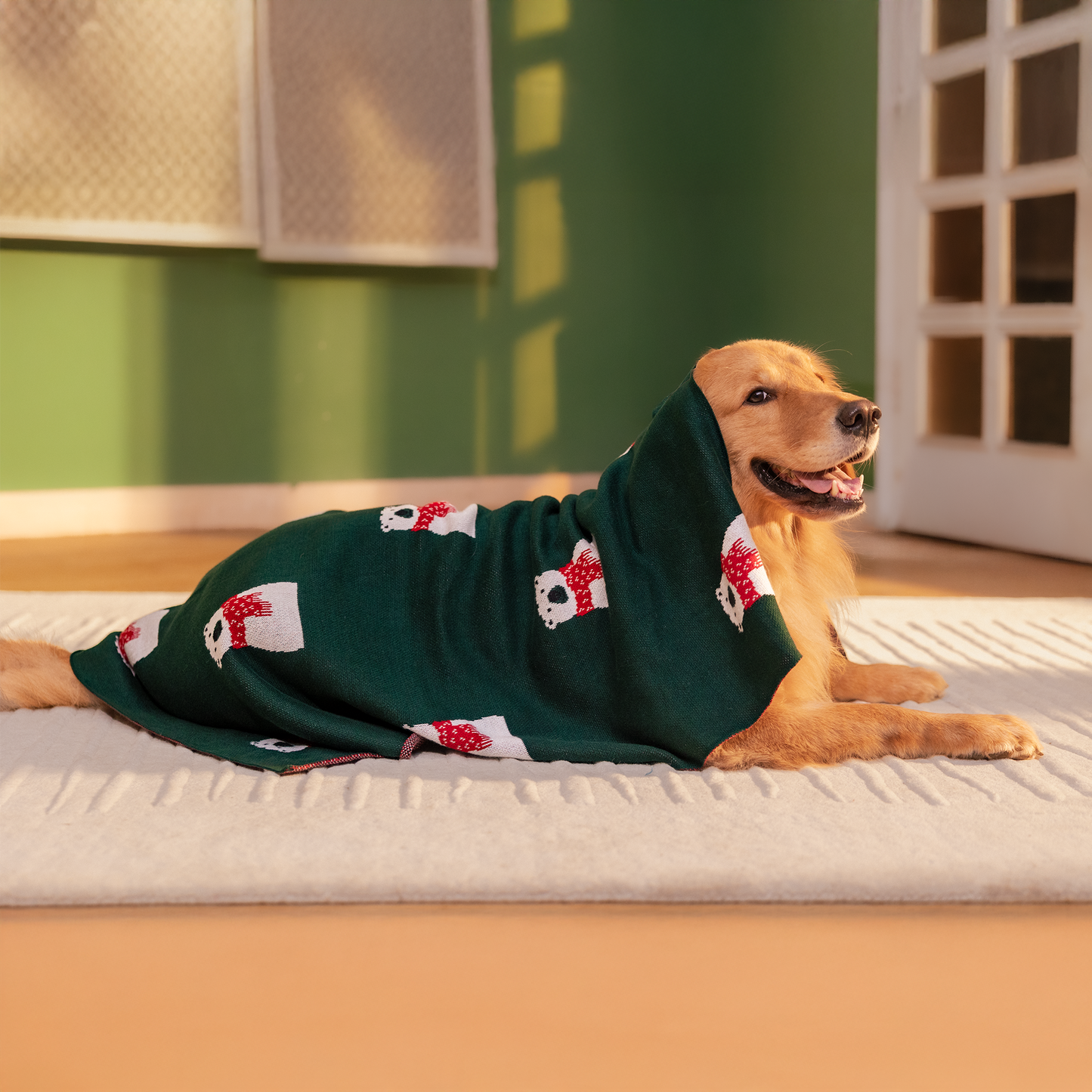HUFT Pawlar Bear Blanket For Dog & Cat - Green