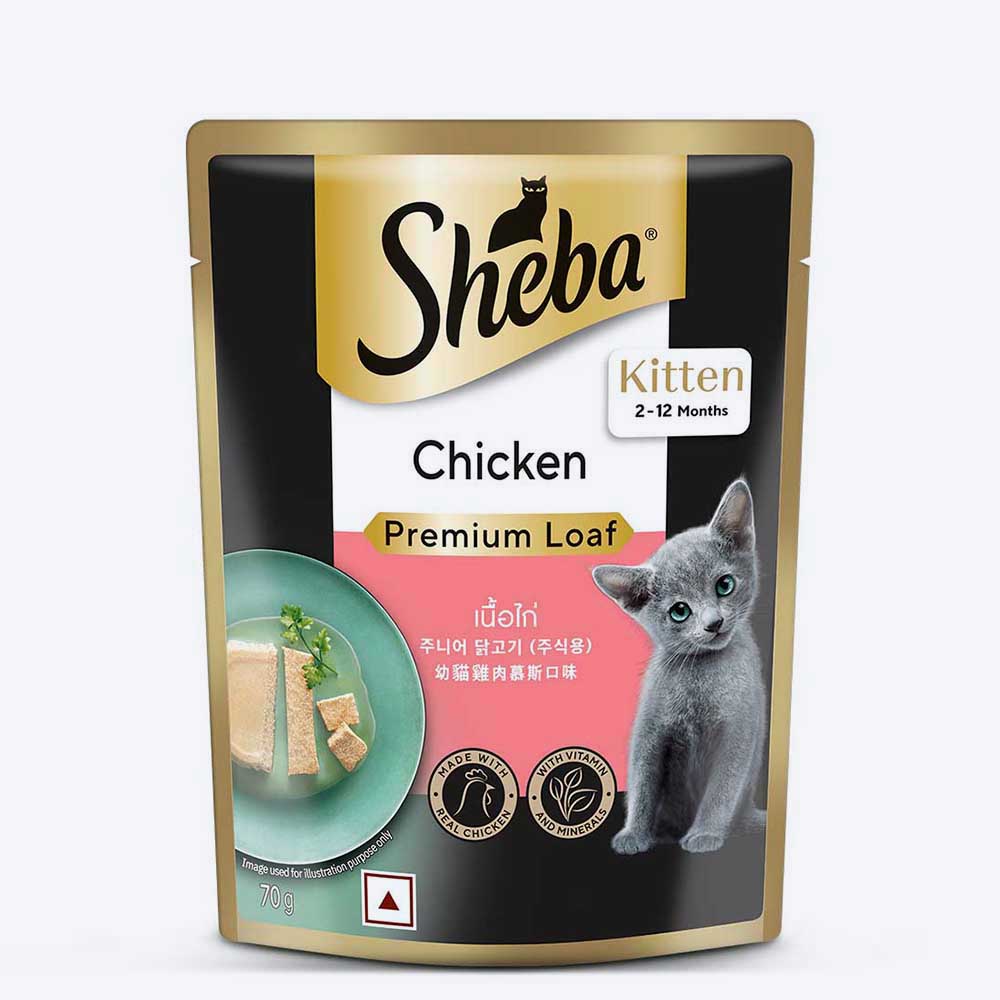 Sheba Chicken Premium Loaf Wet Kitten Food - 70 gm Packs - Heads Up For Tails