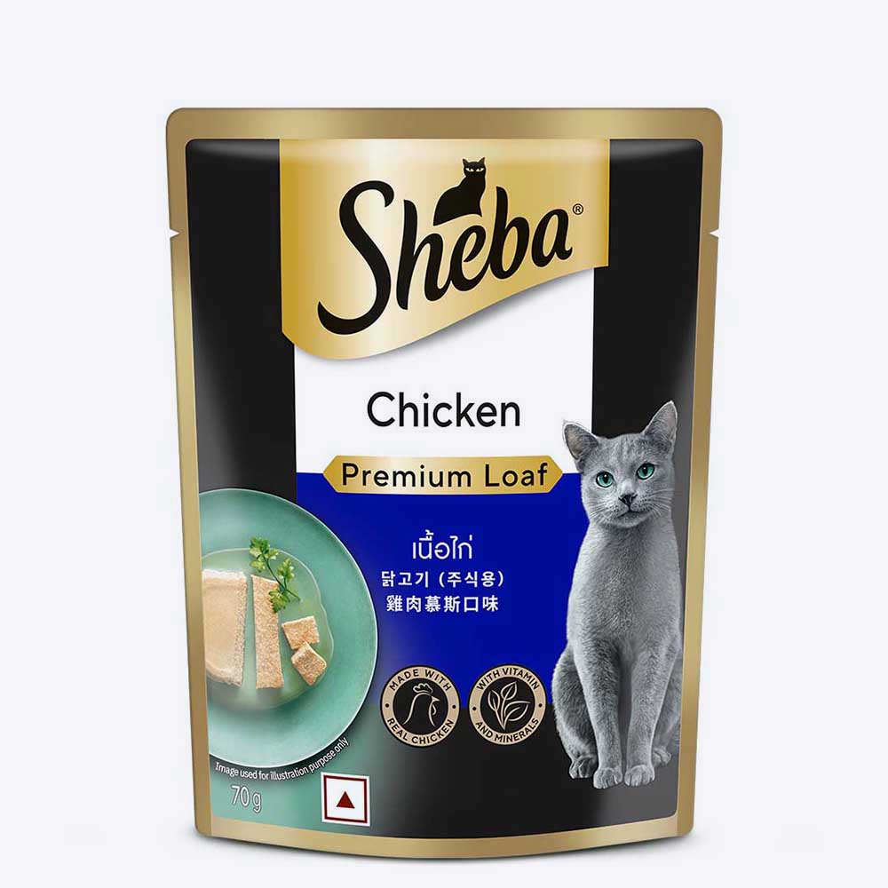 Sheba Rich Chicken Premium Loaf Adult Wet Cat Food - 70 gm Packs - Heads Up For Tails