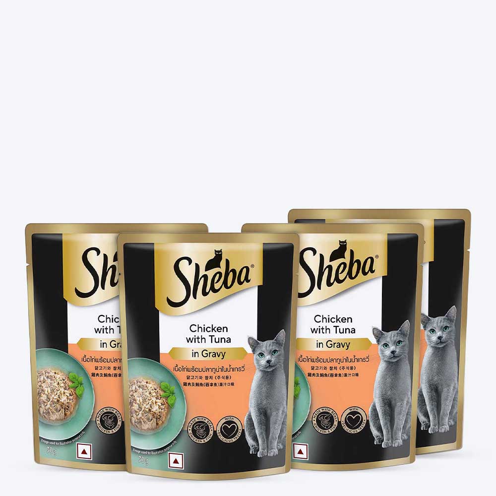Sheba Rich Premium Chicken With Tuna In Gravy Adult Wet Cat Food - 70 gm Packs - Heads Up For Tails