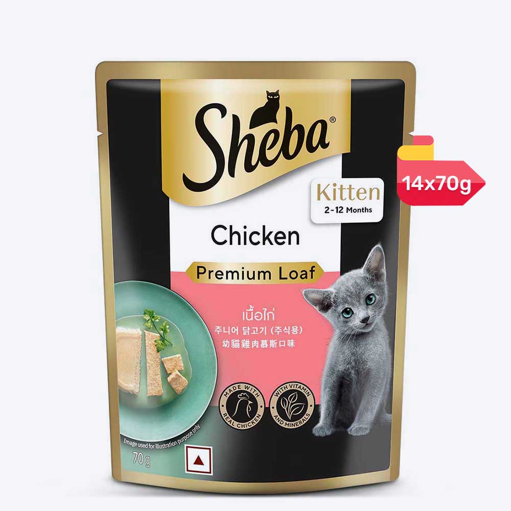 Sheba Chicken Premium Loaf Wet Kitten Food - 70 gm Packs - Heads Up For Tails