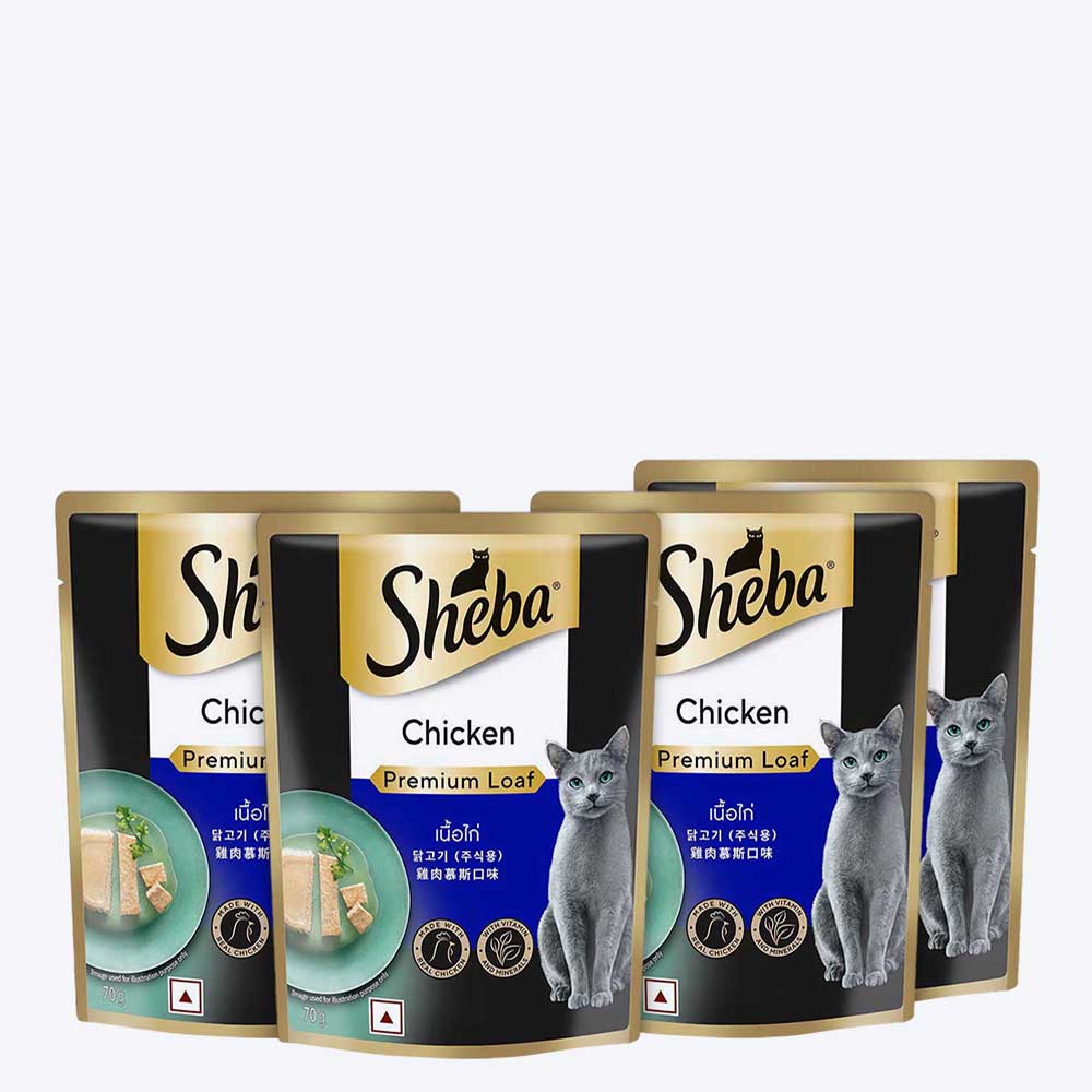 Sheba Rich Chicken Premium Loaf Adult Wet Cat Food - 70 gm Packs - Heads Up For Tails