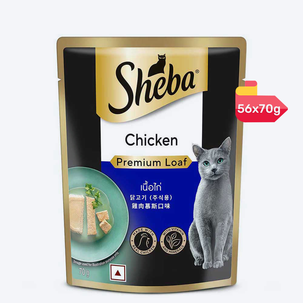 Sheba Rich Chicken Premium Loaf Adult Wet Cat Food - 70 gm Packs - Heads Up For Tails