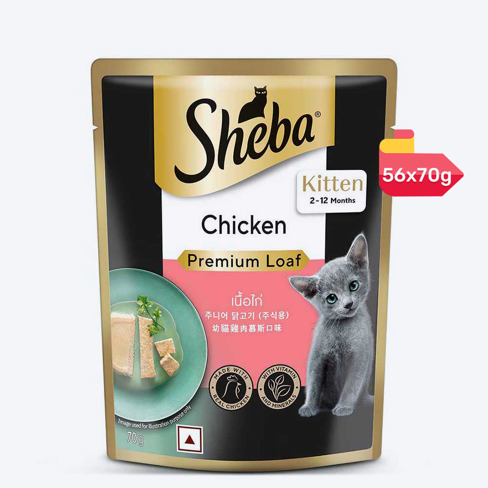 Sheba Chicken Premium Loaf Wet Kitten Food - 70 gm Packs - Heads Up For Tails