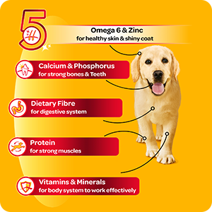 Pedigree Chicken & Liver Chunks in Gravy with Vegetables Wet Puppy Food - 70 g - Heads Up For Tails