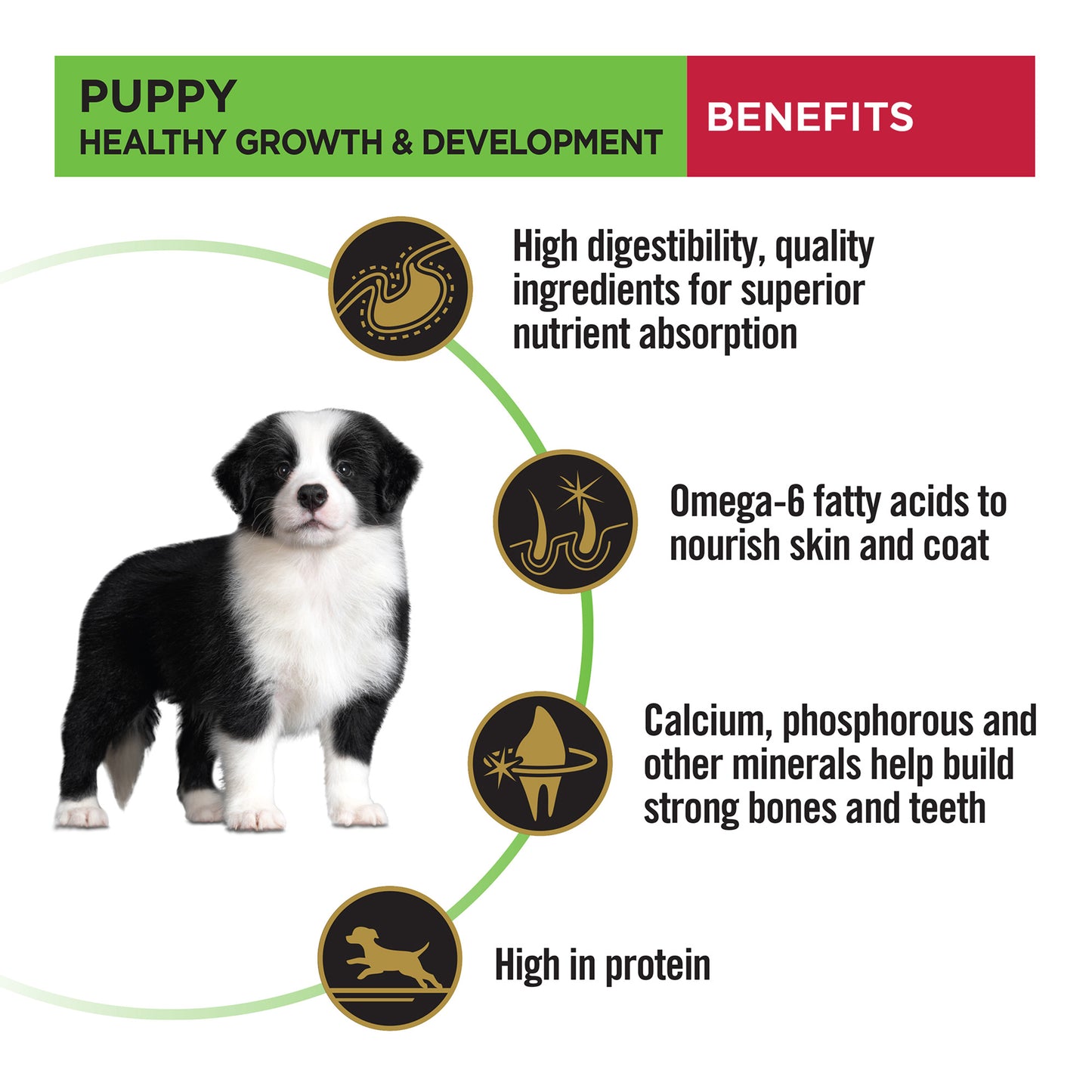 PURINA PRO PLAN Medium Breed Dry Food For Puppy - Heads Up For Tails
