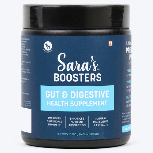 Sara's Gut & Digestive Supplement - 100 g