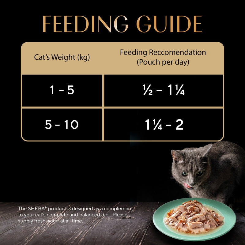 Sheba Rich Premium (1+ Years) Fish with Dry Bonito Flavour Adult Wet Cat Food - 35 g - Packs