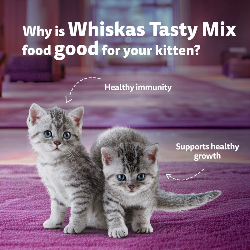 Whiskas Tasty Mix Seafood Cocktail With Carrot In Gravy Wet Food For Junior (2-12 Months) Kitten- 70 gm Pack - Heads Up For Tails