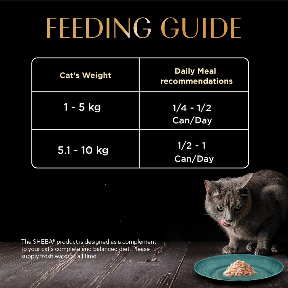 Sheba Deluxe Premium (1+ Years) Tuna Flakes & Salmon In Gravy Adult Cat Wet Food - 85 gm - Pack