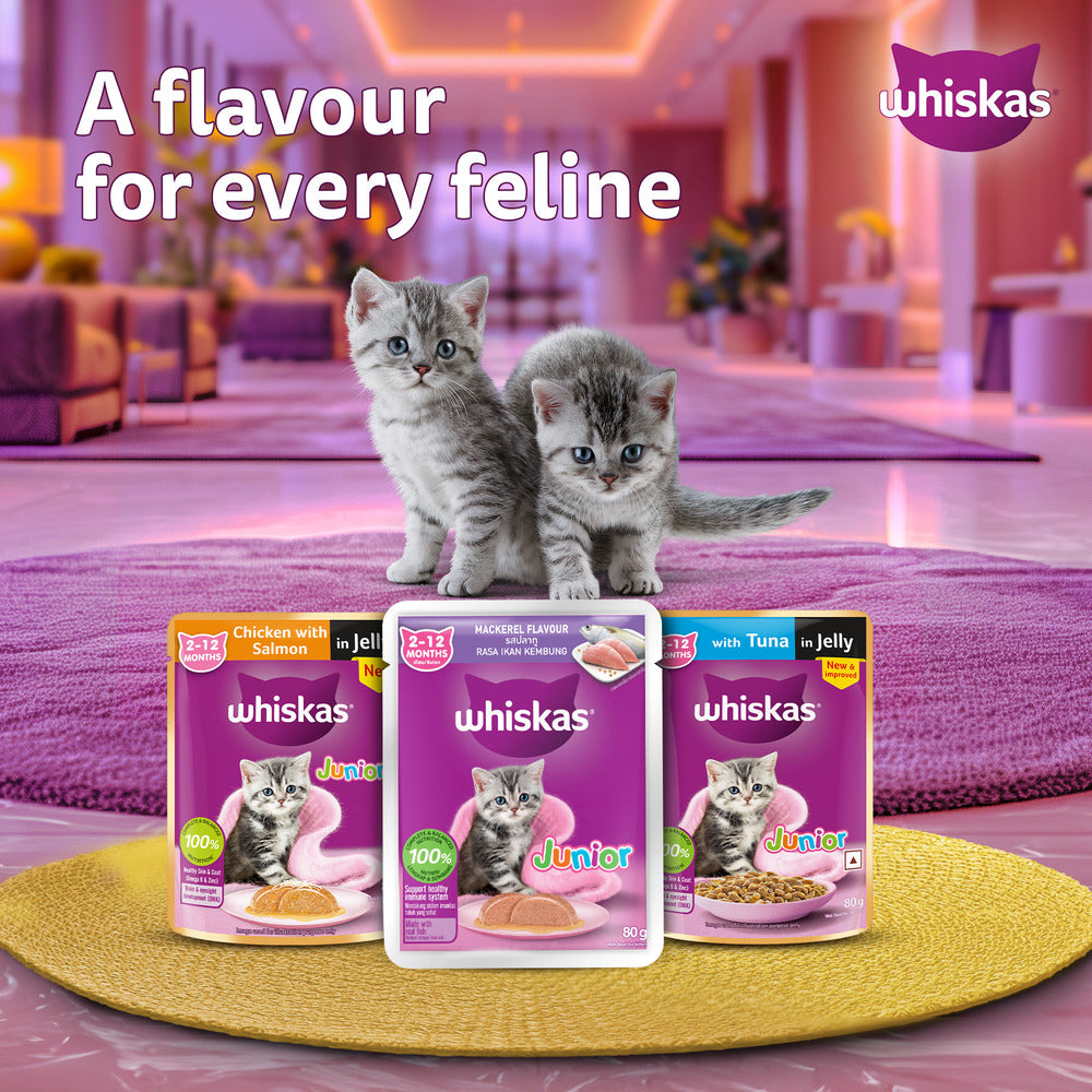 Whiskas Chicken With Salmon In Jelly Wet Food For Junior (2-12 Months) Kitten - 80 gm Pack