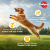 Pedigree Vegetarian Dry Food For Adult Dogs & Puppy - Heads Up For Tails