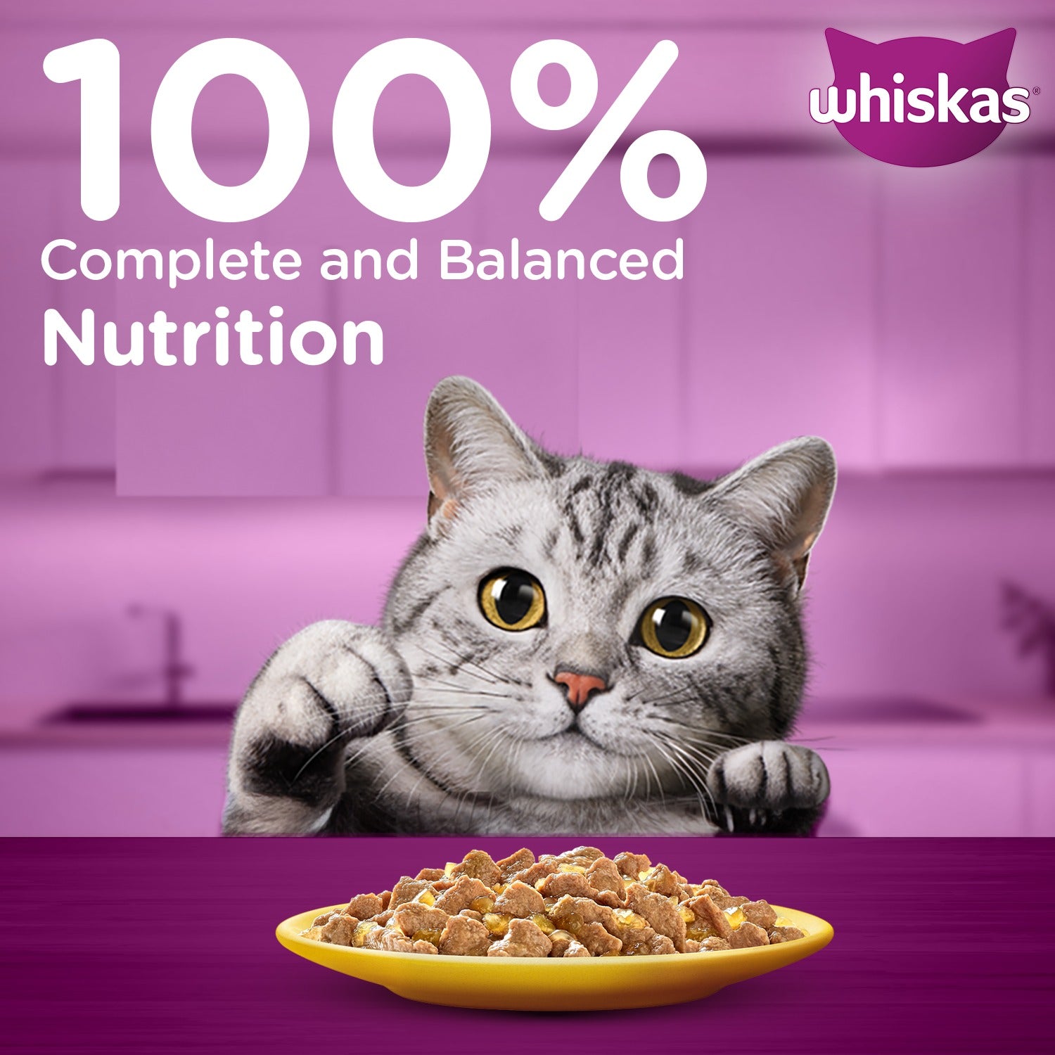 Whiskas Chicken in Gravy (1+ Years) Wet Food For Adult Cat - 80 gm Pack - Heads Up For Tails
