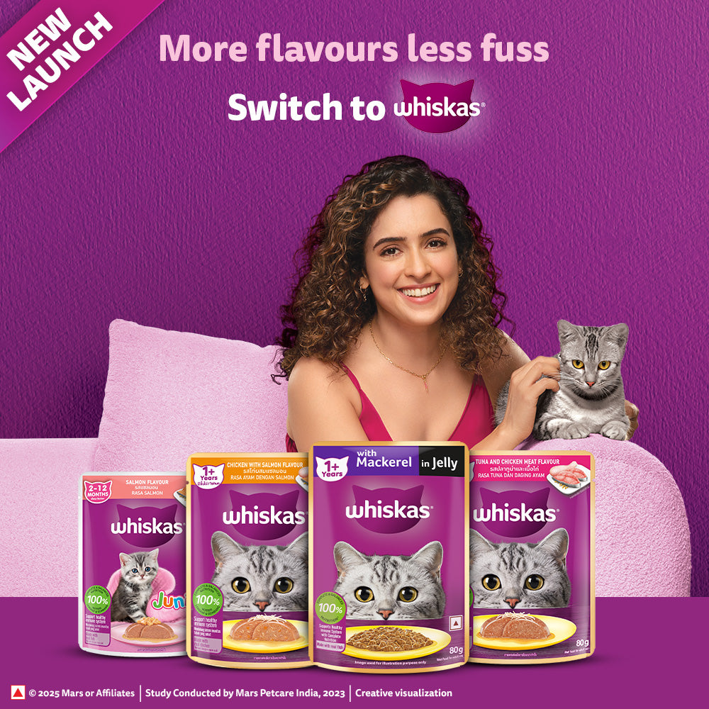 Whiskas Mackerel In Jelly (1+ Years) Adult Cat Wet Food - 80 gm Pack
