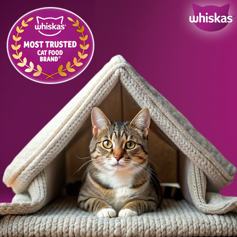 Whiskas Adult (1+ Years) Chicken Flavour Dry Food For Adult Cat - Heads Up For Tails