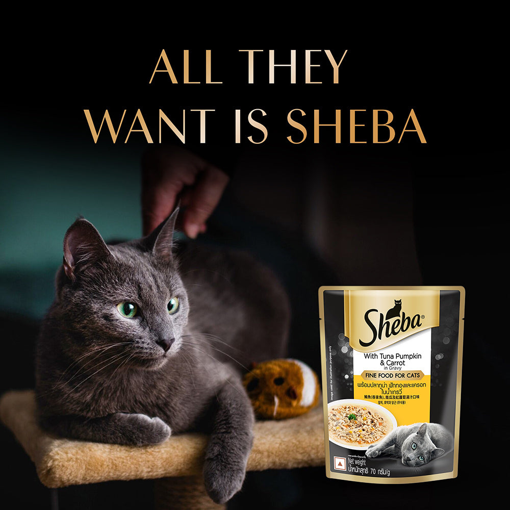 Sheba Rich Premium Tuna Pumpkin & Carrot In Gravy Adult Wet Cat Food - (28 x 70gm)