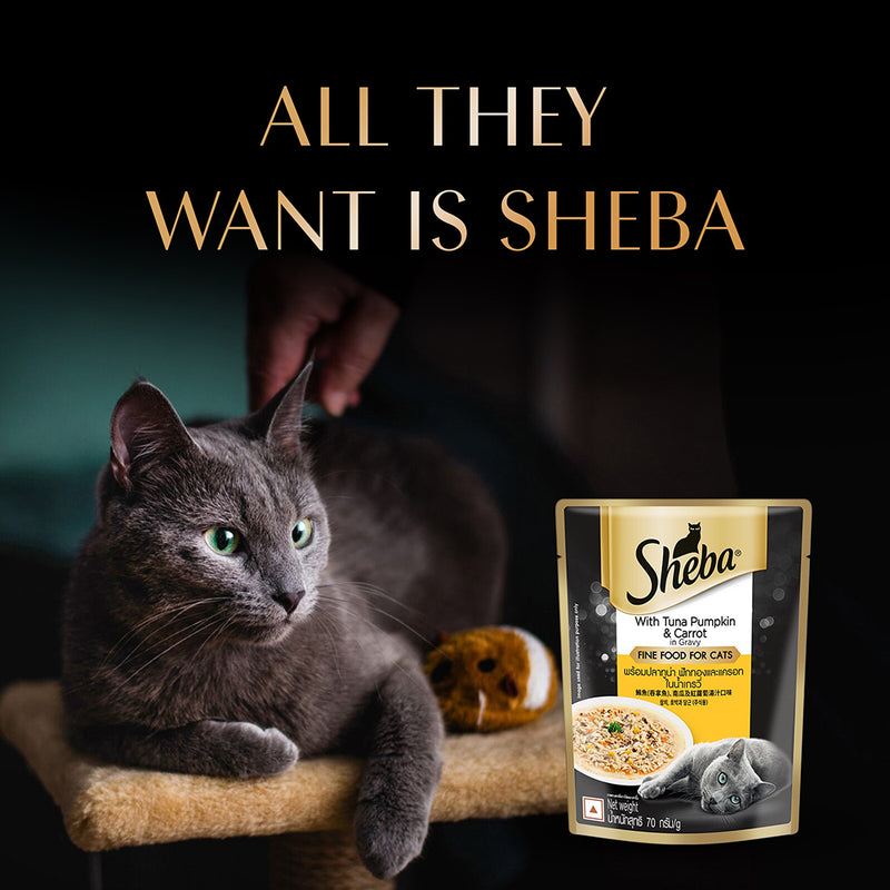 Sheba Rich Premium (1+ Years) Tuna Pumpkin & Carrot In Gravy Adult Wet Cat Food - (28 x 70gm) - Heads Up For Tails