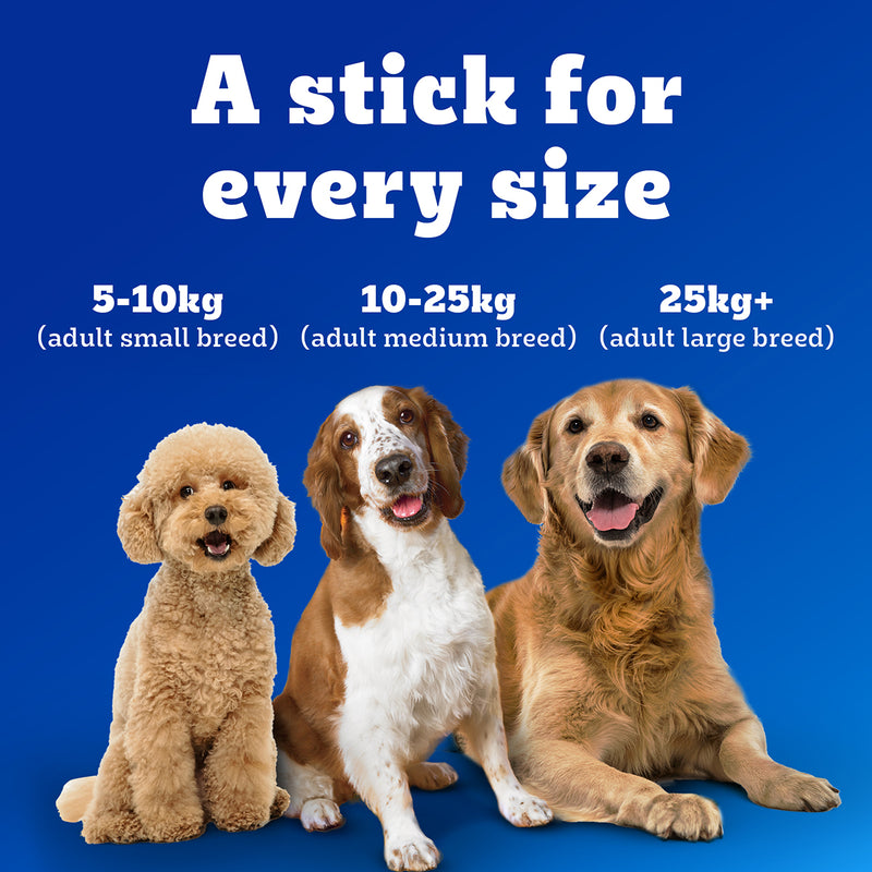 Pedigree Dentastix Dog Treat Weekly Pack For Large Breed - 270 g - Heads Up For Tails