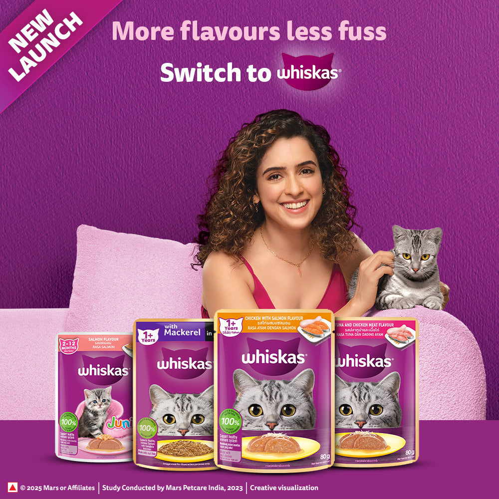 Whiskas Chicken with Salmon in Jelly Flavour (1+ Years) Adult Cat Wet Food - 80 gm Pack