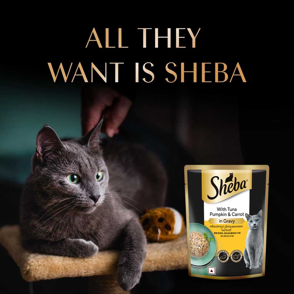 Sheba Rich Premium (1+ Years) Tuna Pumpkin & Carrot In Gravy Adult Wet Cat Food - 70 gm Packs