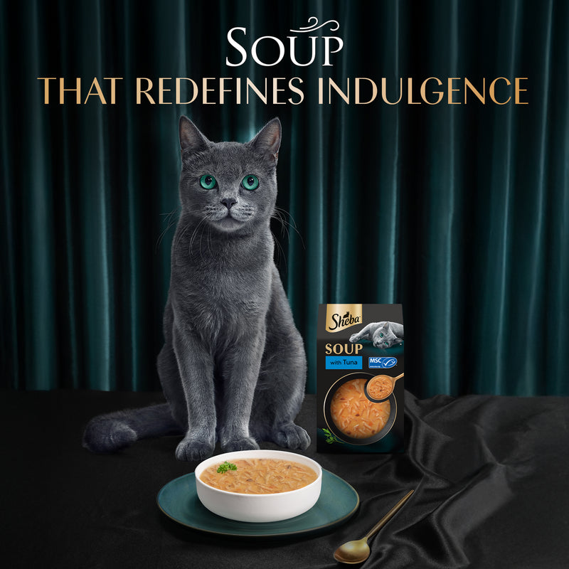Sheba Soup With Tuna Wet Food For Cat - 40 gm x 4 pcs