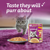 Whiskas Tasty Mix Adult (1+ year) Chicken With Tuna & Carrot in Gravy Wet Cat Food - 70 gm Pack - Heads Up For Tails