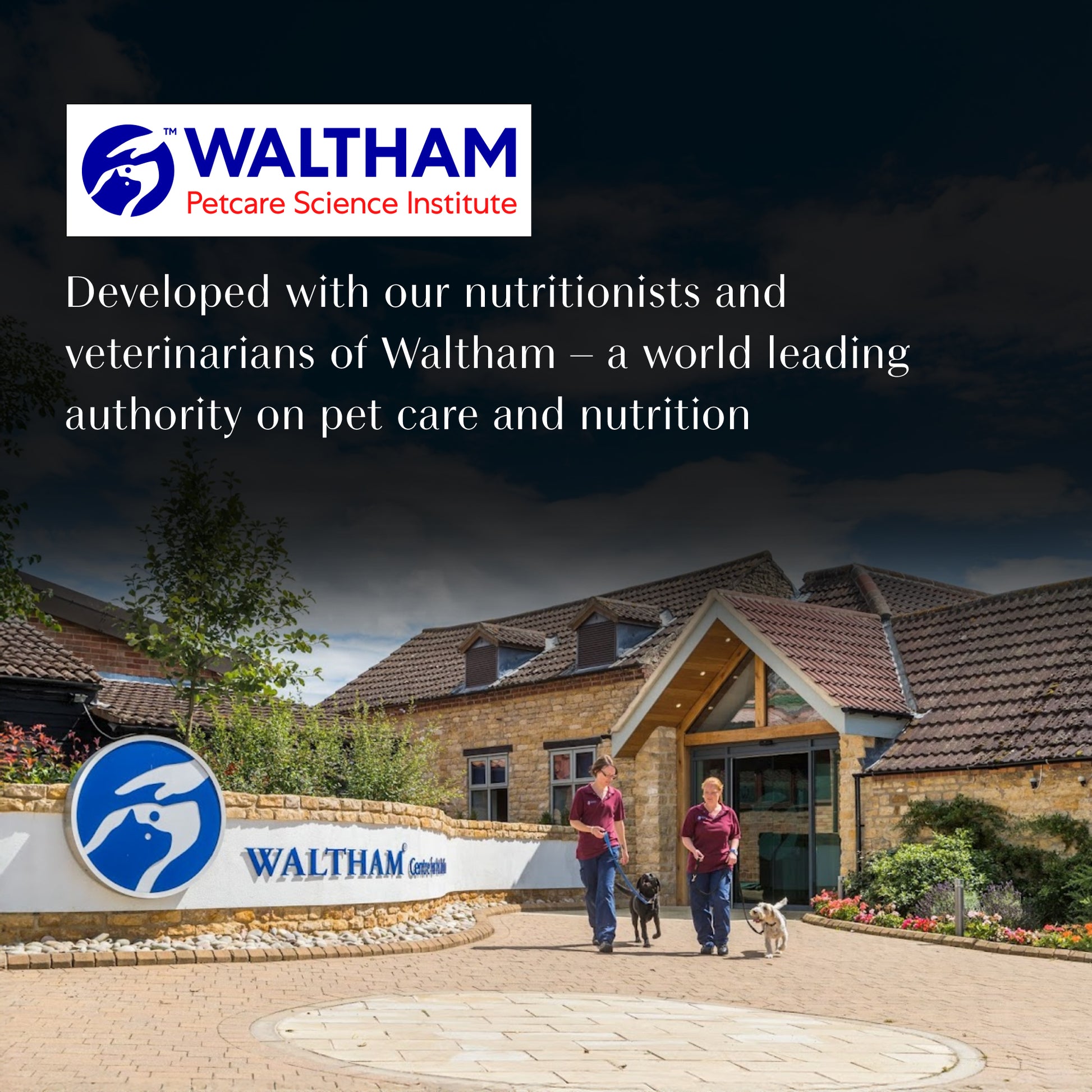 Sheba Soup With Chicken Wet Food For Cat - 40 gm x 4 pcs - Heads Up For Tails