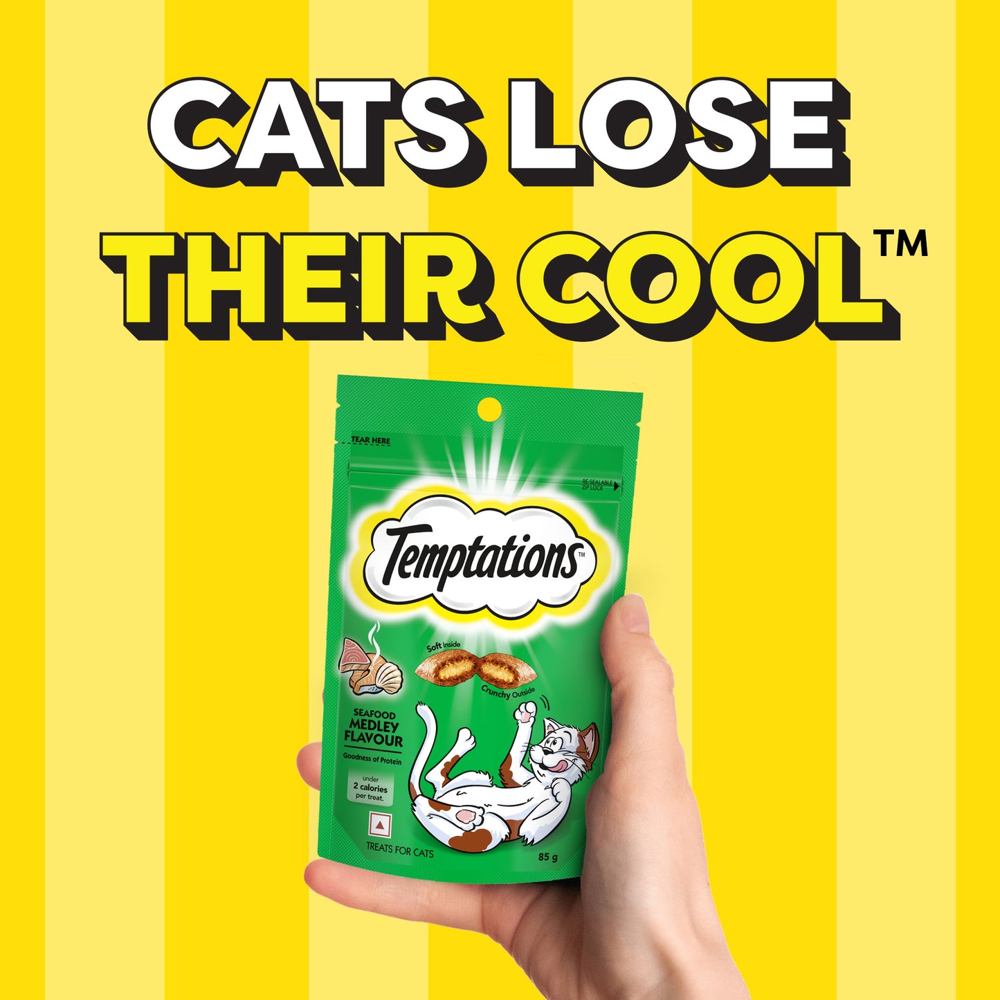 Temptations Cat Treat Seafood Medley Flavour - 85g - Heads Up For Tails