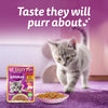 Whiskas Tasty Mix Seafood Cocktail With Carrot In Gravy Wet Food For Junior (2-12 Months) Kitten- 70 gm Pack - Heads Up For Tails