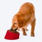 HUFT Melamine Slant Bowl With Steel Inserts For Dog - Red