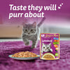 Whiskas Tasty Mix Wet Food Made With Real Fish (Salmon & Wakame Seaweed) With Chicken in Gravy For Adult (1+ year) Cat - 70 gm Pack - Heads Up For Tails
