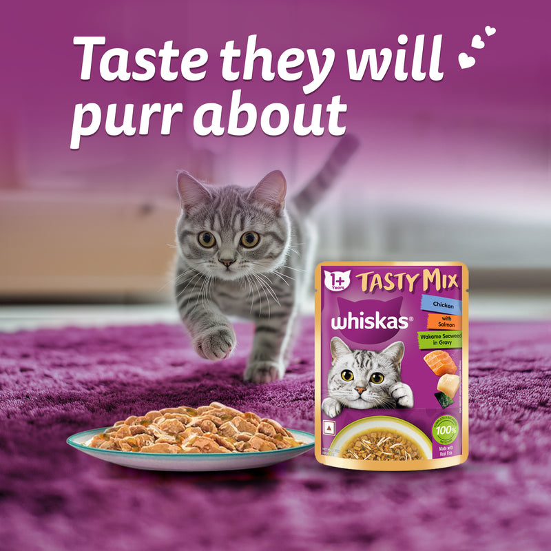Whiskas Tasty Mix Wet Food Made With Real Fish (Salmon & Wakame Seaweed) With Chicken in Gravy For Adult (1+ year) Cat - 70 gm Pack - Heads Up For Tails