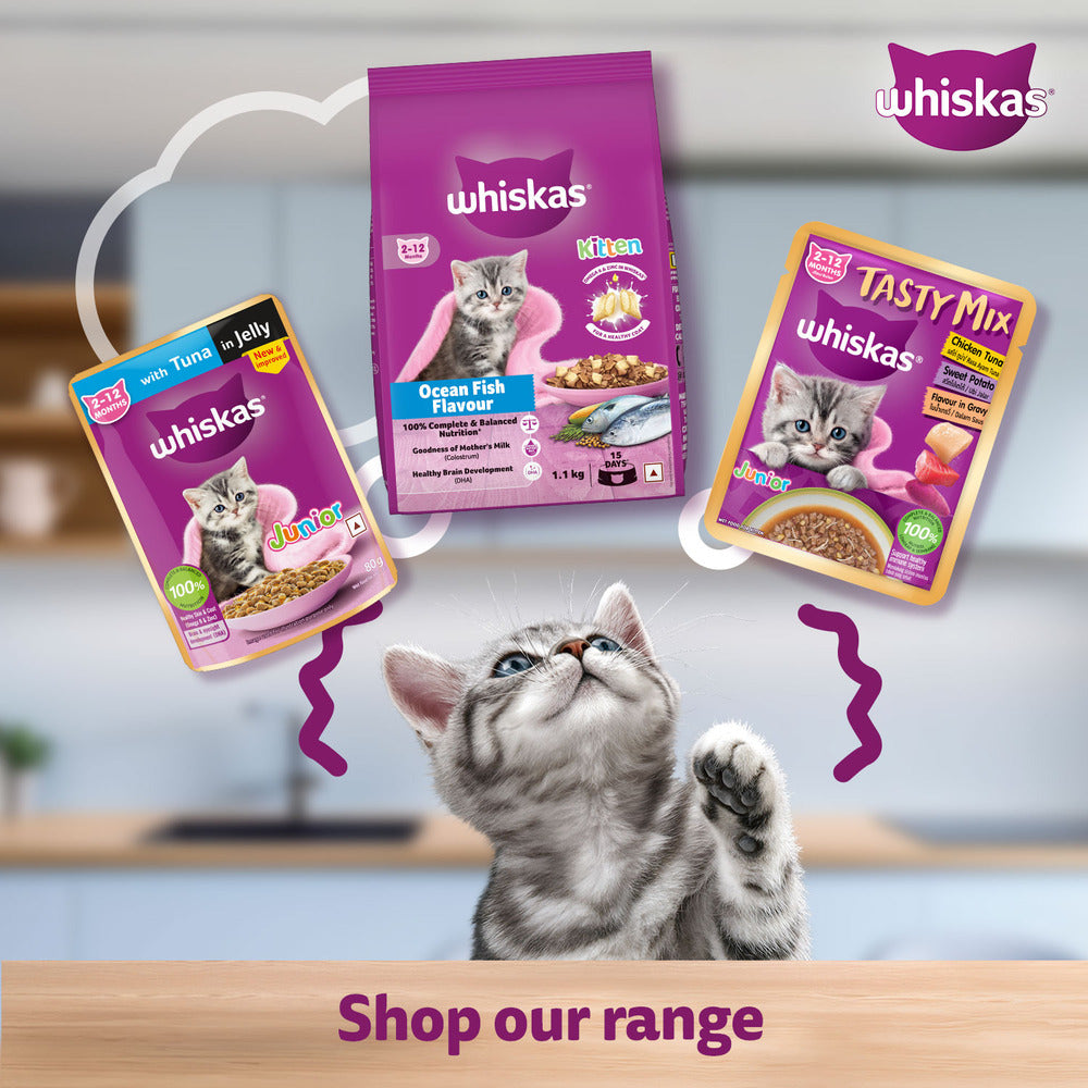 Whiskas Tasty Mix Chicken Tuna With Sweet Potato In Gravy Wet Food For Junior (2-12 Months) Kitten - 70 gm Pack