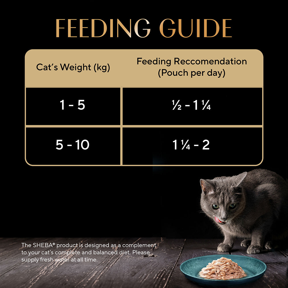 Sheba Fish with Sasami Adult Wet Cat Food - 35 gm Packs