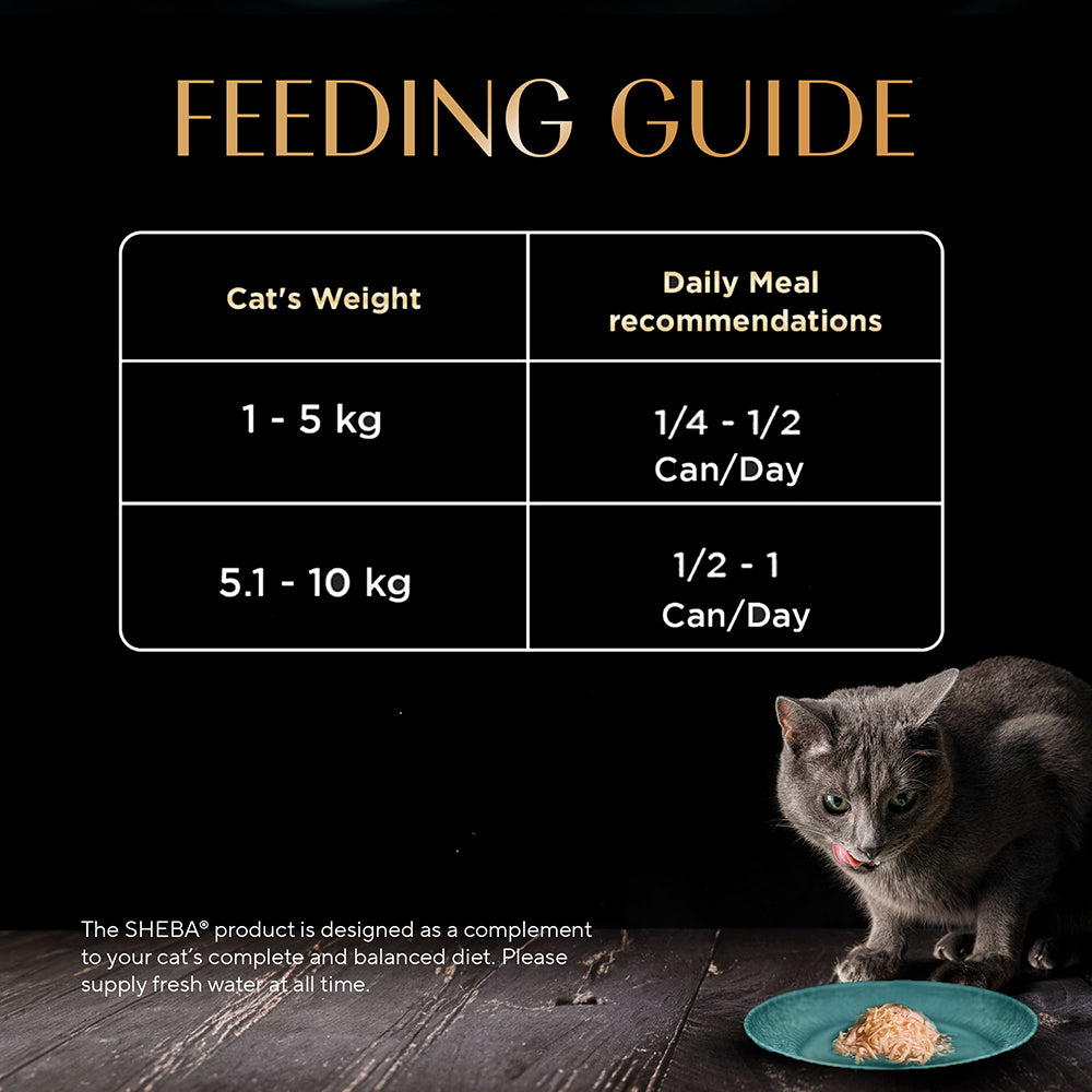 Sheba Deluxe Premium (1+ Years) Tuna Fillets in Jelly Adult Wet Cat Food - 85 g - Pack - Heads Up For Tails