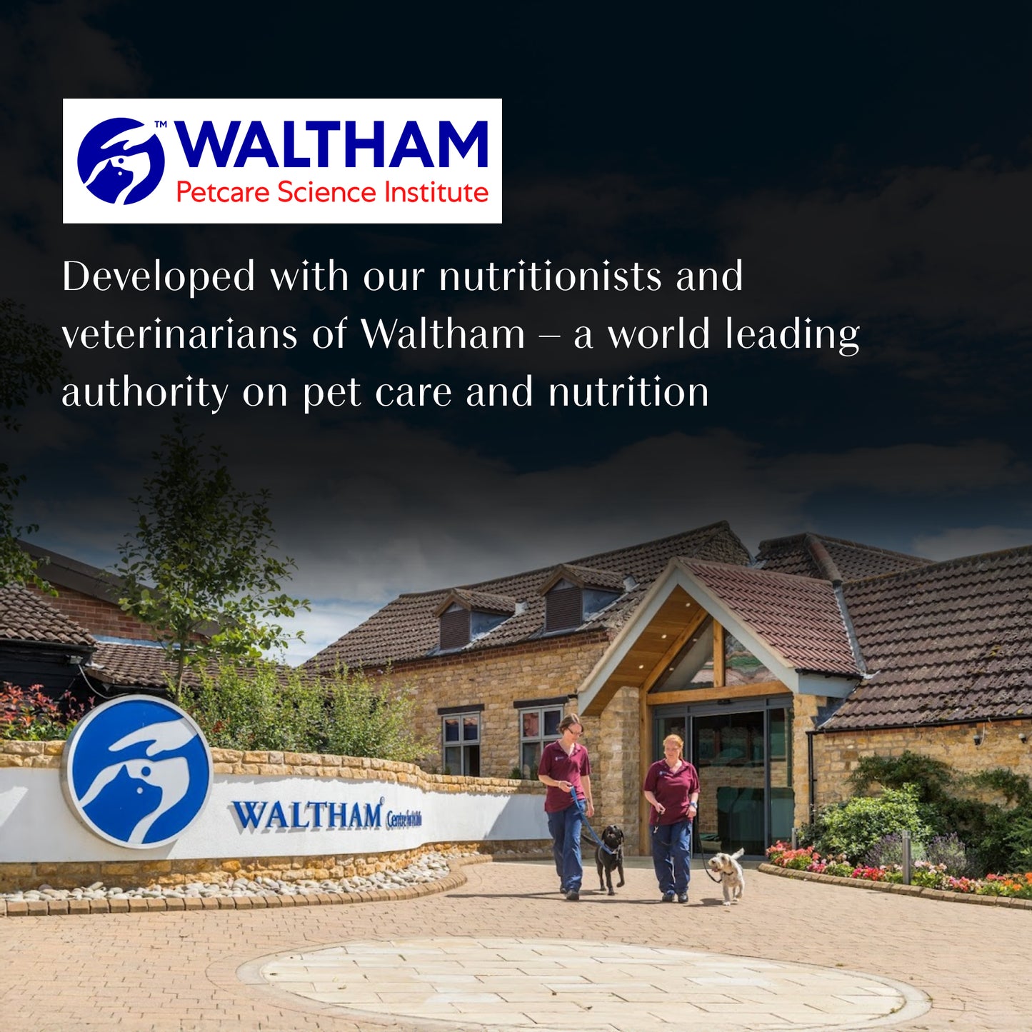 Sheba Soup With Tuna Wet Food For Cat - 40 gm x 4 pcs - Heads Up For Tails