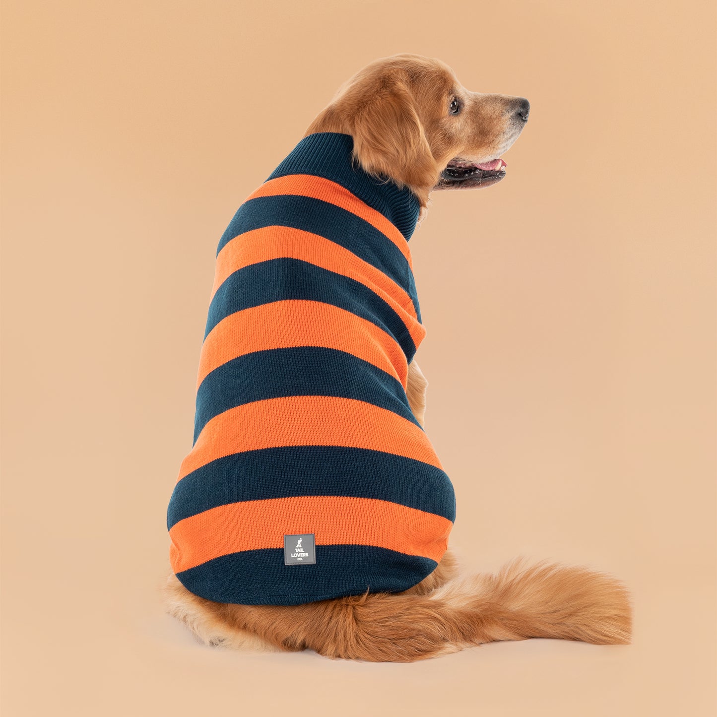 TLC Pumpkin Patch Sweater For Dog - Orange & Navy Blue - Heads Up For Tails